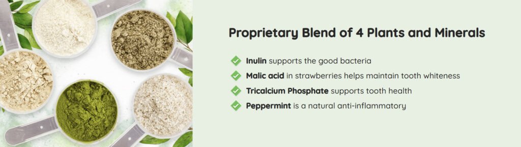 Probiotic blend designed for dental and gum support